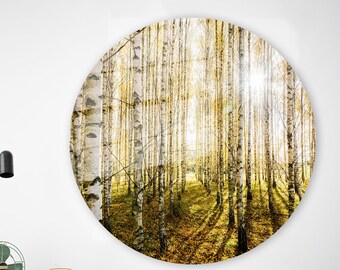 May include: A circular photograph of a birch tree forest in the fall. The trees are tall and slender, with white bark and yellow leaves. The sun is shining through the trees, creating a warm, golden glow.