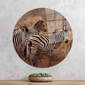 Tempered Glass, Wall Art, Glass, Animal Glass, Three Zebra Glass Wall Art, Zebra Landscape Wall Decor, Safari Animals Wall Decor,