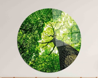 Tree Tempered Glass Wall Art: Nature View Landscape Decor