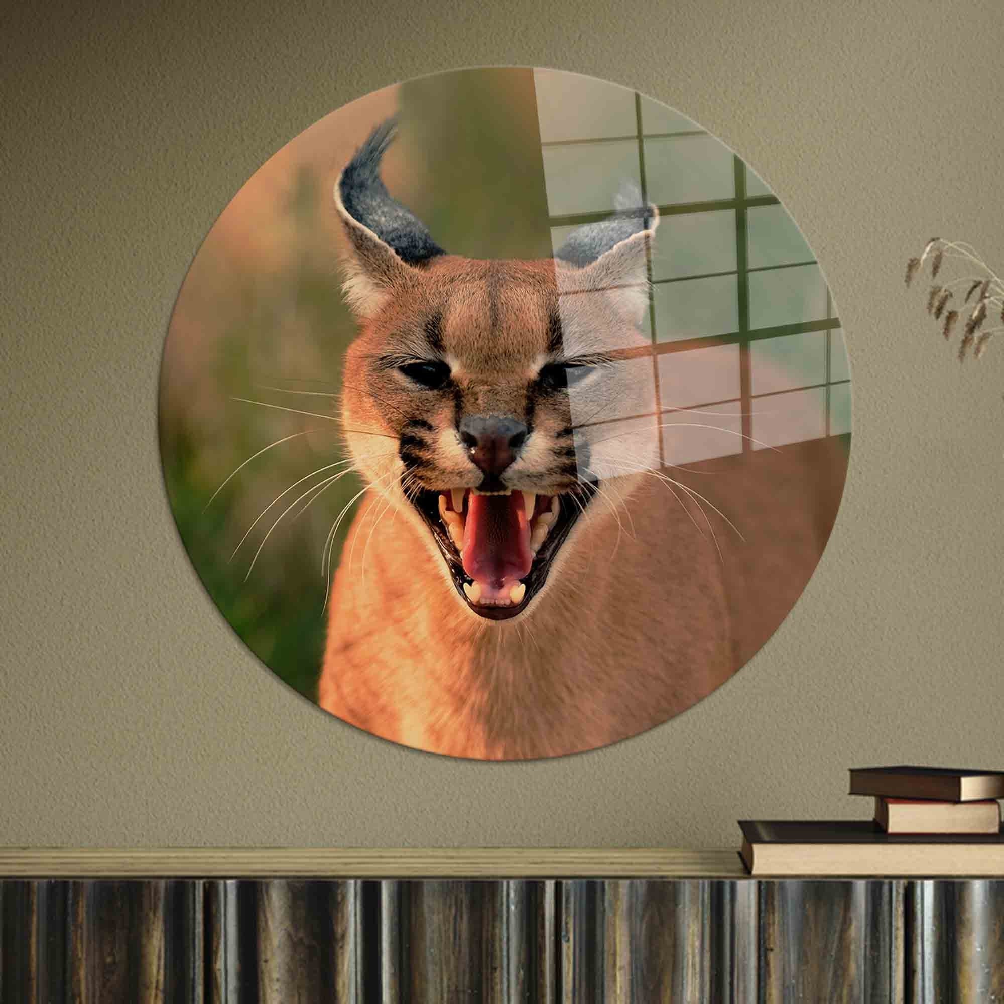 Caracal Cat Tempered Glass Wall Art: Custom Animal Print - Etsy Israel