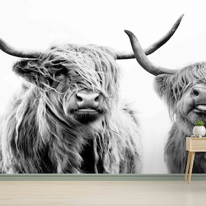 Highland Kuh Wandkunst, Schottische Wandkunst, Tier Tapete, Kuh Wandbild, Akzent Wand, Geschenk für Zuhause, selbstklebendes Papier, Cafe Wand-Dekor,