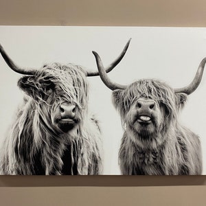 Highland Cow Canvas Wall Art: Custom Farmhouse Decor