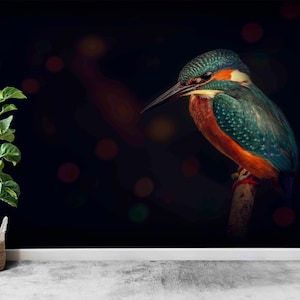 3d Wall Paper,Paper Wall ArtKingfisher Wall Poster,Wall Paper Peel and Stick,Contemporary Wallpaper,Colorful Bird Wall Art,