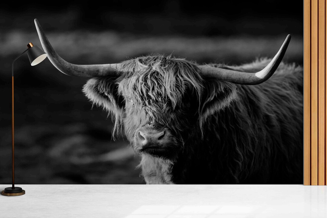 Wild Animal Wall Decor,paper Wall Artcustom Wall Paper,ox Photo Print