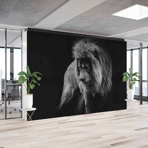 Lion Wall Mural: African Animal Portrait, Peel & Stick Wallpaper