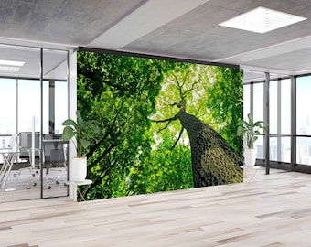 Green Forest Tree Wallpaper: Peel and Stick Wall Decor