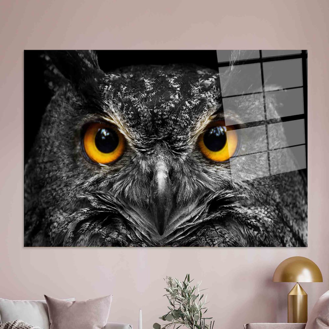 Owl Eyes Wall Decor Owl Wall Art Animal Wall Decor Black Etsy