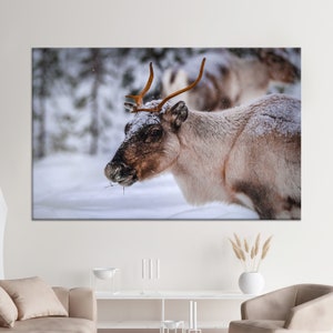 Canvas Print, Canvas Art, Wall Art Canvas, Forest Landscape Canvas, Nature Landscape Canvas, Wild Animal 3D Canvas,