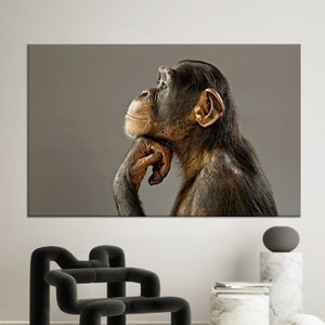 Può includere: Stampa su tela rettangolare raffigurante uno scimpanzé in posa pensosa. Lo scimpanzé è marrone e nero, con la mano appoggiata al mento. Lo sfondo è grigio uniforme e la stampa è esposta su una parete bianca.