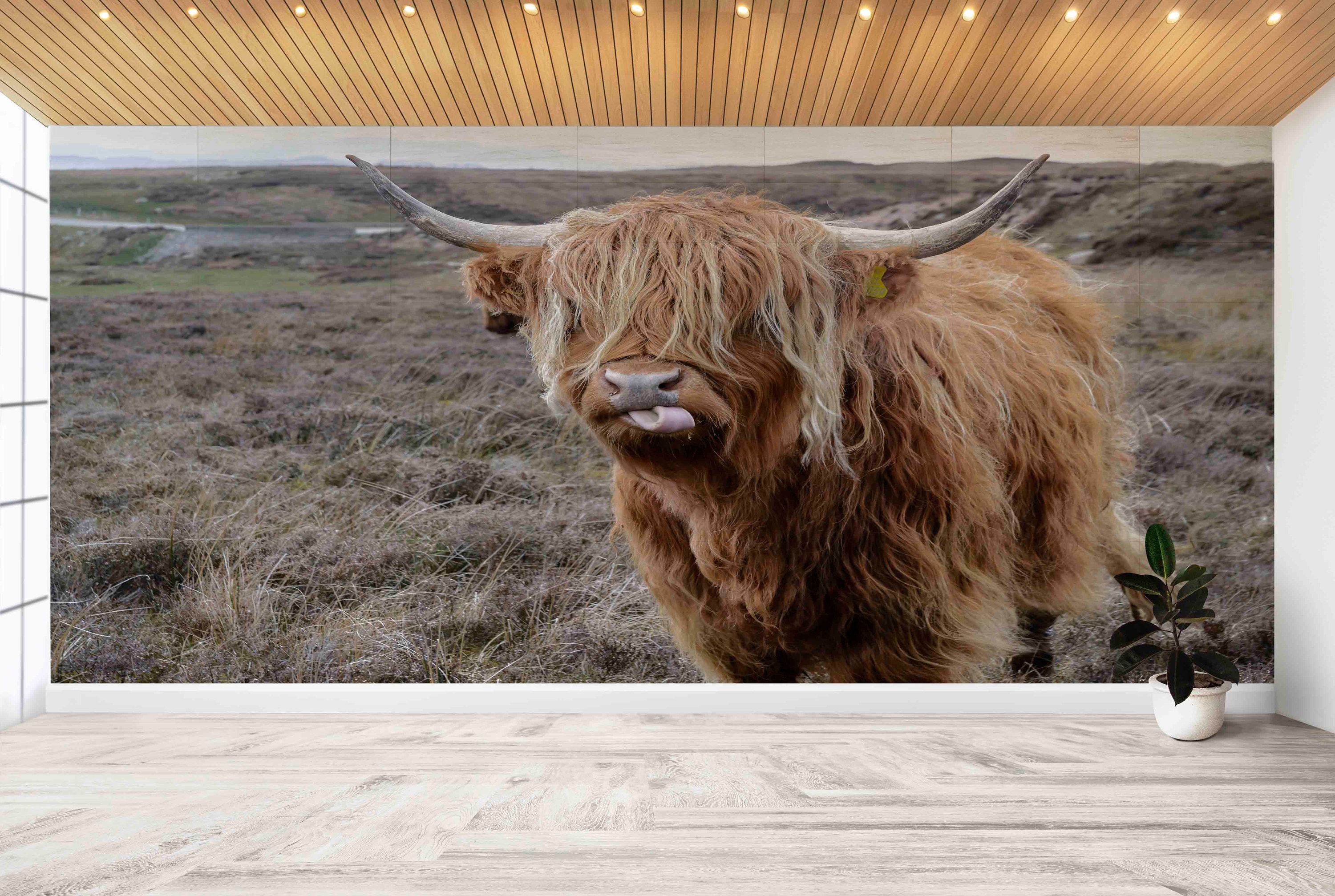 Cattle Horn Wall Poster,Horn Wall Mural,Custom Wall Paper,Bull Wall Art,Wall Paper Peel and Stick,Bright Wall Paper,Cow Wall Painting,