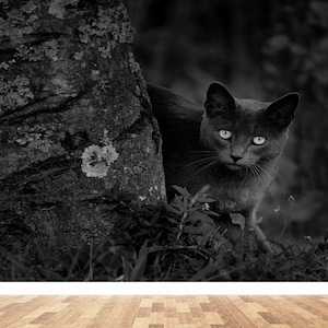 ♥ Hochwertige Tapete mit schwarzer Katze ♥