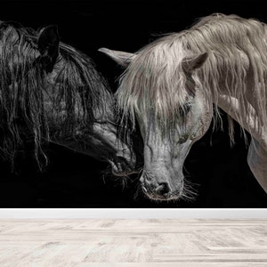 Black And White Horse,Modern Wall Paper,Custom Wall Paper,Animal Wallpaper,Bright Wall Paper,3d Wall Paper,Farmhouse Wall Painting,