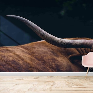 Carta da parati mucca, Decorazione da parete con fauna selvatica, Carta da parati con animali, Arte con carta Longhorn, Carta da parati personalizzata, Arte del taglio della carta, Carta da parati 3D, Arte delle pareti della stanza