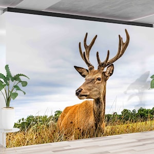 Carta da parati luminosa,Stampa murale con fauna selvatica,Murale di animali selvatici,Carta da parati 3D,Carta da parati staccabile e incolla,Decorazione murale con paesaggio di cervo,
