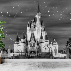 Modern Wall Paper,Custom Wall Paper,Night Landscape Mural,Wall Paper Peel and Stick,Cinderella Castle,Disneyland Wall Paper,