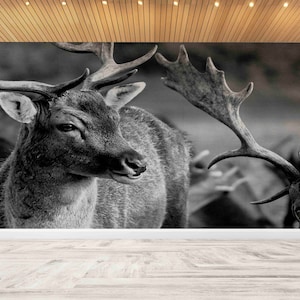 Carta da parati con fauna selvatica, Carta da parati con cervi, Stampa fotografica con animali selvatici, Carta da parati artistica Carta da parati 3D, Carta da parati moderna, Murale con animali,