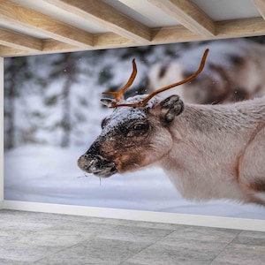 Papel de pared de reno, papel de pared brillante, pintura de pared de animales salvajes, papel de pared moderno, papel de pared 3d, mural de bosque, póster de pared de ciervo,