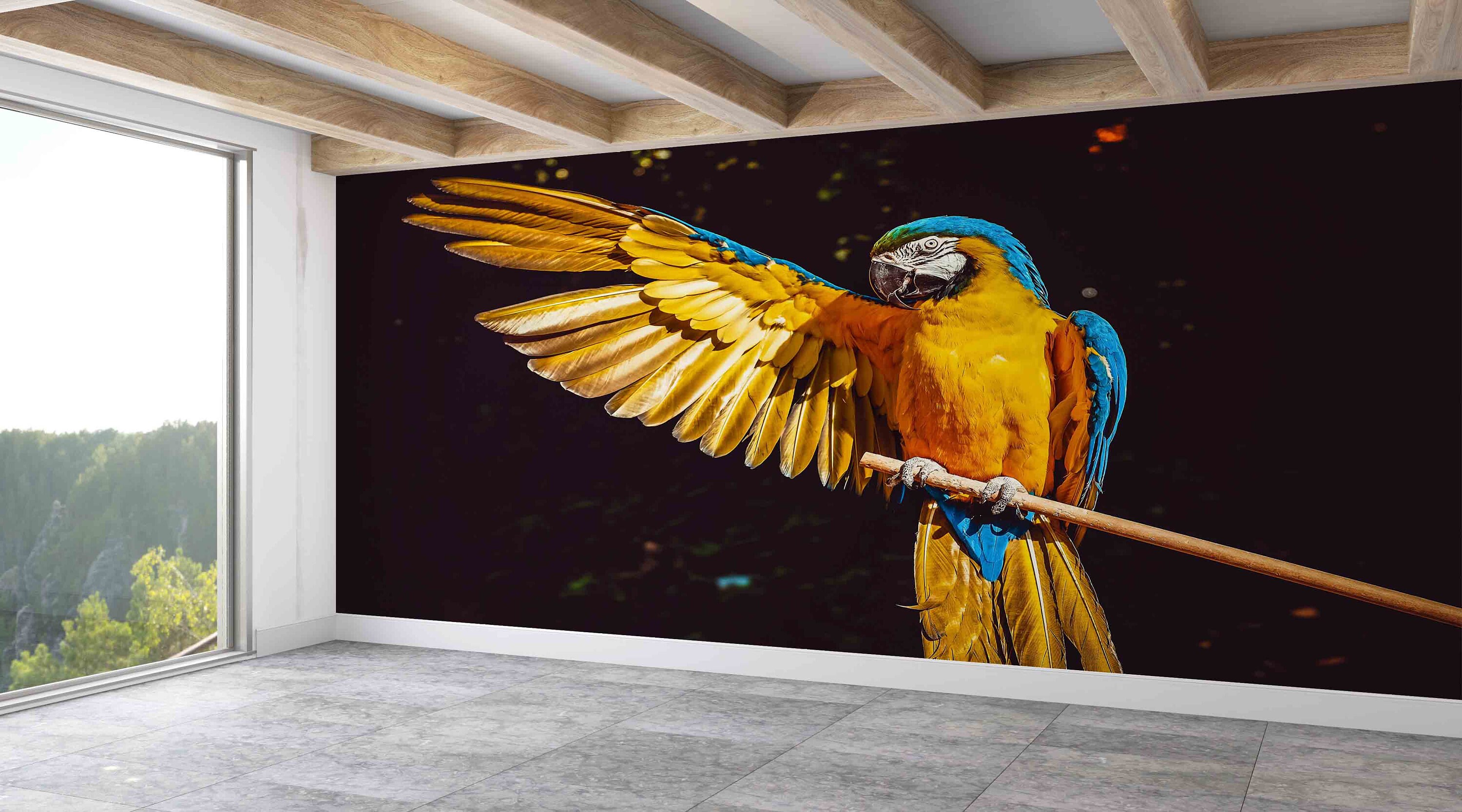 Animal Photo Wall Painting,Bright Wall Paper,Paper Wall ArtModern Wall Paper,Black and Yellow Wall Paper,Bird Wall Paper,