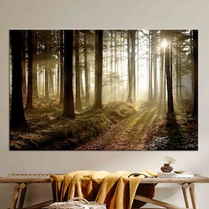 Forest Path Sunset Canvas Art: Nature Wall Decor