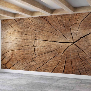 Carta da parati moderna, Murale con crepe nel legno, Arte della parete in carta Decorazione astratta della parete in legno, Carta da parati staccabile e incollabile, Pittura murale naturale,