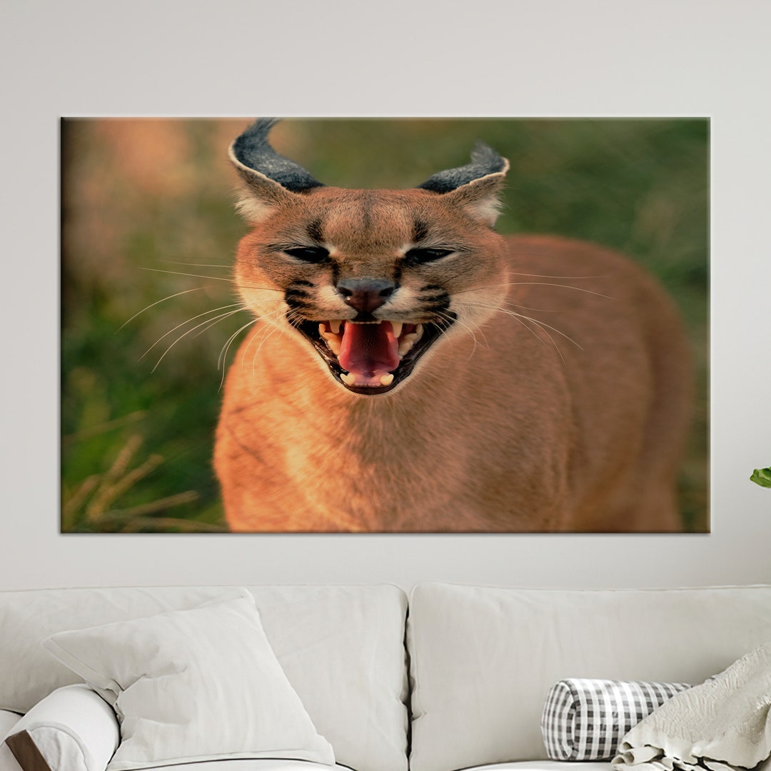 Wall Art Canvas, 3D Wall Art, Large Canvas, Animal Wall Decor, Caracal