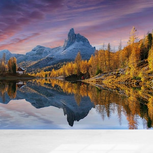 Modern Wall Paper,Autumn Wall Mural,Custom Wall Paper,View Wall Art,3d Wall Paper,Tree Wallpaper,Reflection Wall Paper,