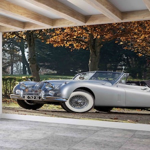 Mural de pared de otoño, papel de pared personalizado, póster de pared de Jaguar antiguo, papel de pared moderno, papel de pared de garaje, papel de pared brillante, pintura de pared de coche,