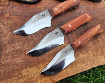 Clip point hunting knife.