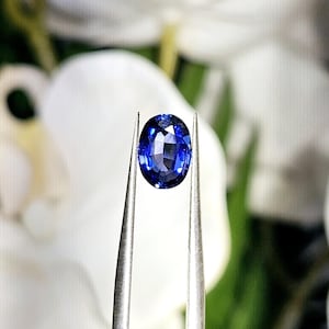 Natural Loose Sapphire, Unheated Blue Sapphire Gemstone, Ceylon Sapphire for Engagement Ring, Custom Jewelry, 1.4 Carat Oval Shaped