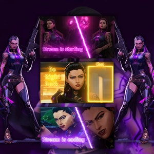 ANIMATED Valorant Reyna Twitch and Youtube Overlay Pack - 3 Scenes- Start, BRB, End Scenes