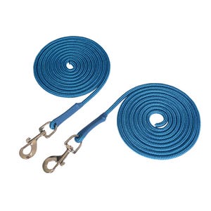 May include: Two blue nylon dog leashes with silver snap hooks. The leashes are coiled and ready to use.