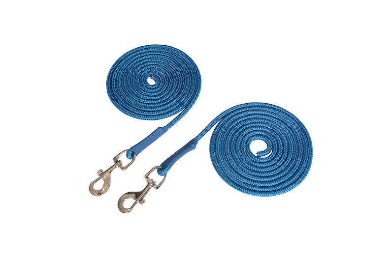 May include: Two blue nylon dog leashes with silver snap hooks. The leashes are coiled and ready to use.