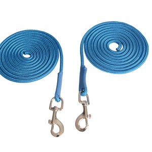 May include: Two blue rope dog leashes with silver swivel clips.