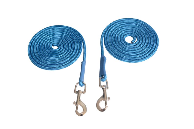 May include: Two blue rope dog leashes with silver swivel clips.