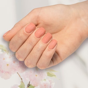 Roze koraal nagelfolie Klassiek roze koraal nagelfolie strandnagels