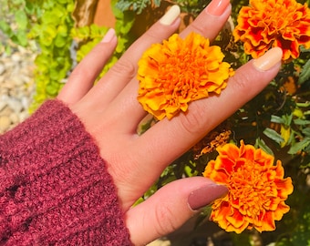Envoltórios de unhas de cacau a coral