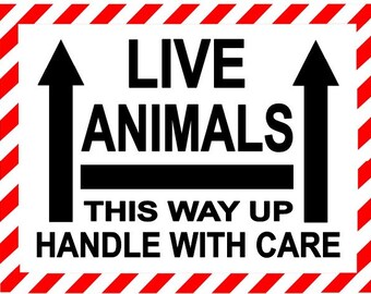 Vivarium Sticker - Etsy UK Vivarium Sticker - Etsy UK