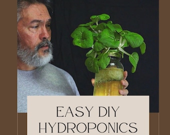Easy & Affordable Hydroponics