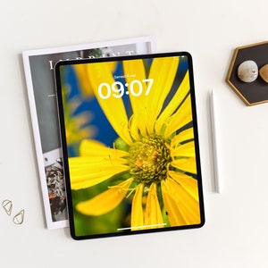 Digital Sunflower Background Wallpaper Download for iPad Theme, Summer Wildflower iPad Background, Digital Yellow Flowers iPad Wallpaper