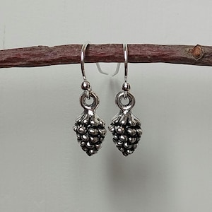 May include: A pair of silver-toned drop earrings featuring a detailed, textured pinecone charm suspended from a simple hook wire. The metallic finish has darkened recessed areas to highlight the individual scales of the pinecone design.