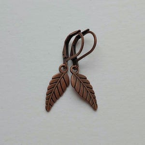 May include: A pair of copper-colored leaf earrings. Each earring features a detailed leaf pendant suspended from a lever-back clasp. The earrings are made of a reddish-brown metal and are displayed against a light background.