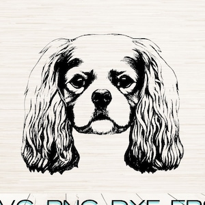 Lindo Cavalier King Charles Spaniel Svg Dxf Eps Jpg Png descarga digital instantánea / contorno de silueta de imágenes prediseñadas de perro / Svg para archivo de corte Cricut