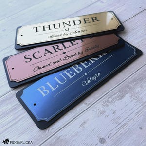 Op de afbeelding: Drie rechthoekige metalen naamplaatjes met afgeronde hoeken en montagegaten. De bovenste plaat is goudkleurig met de tekst THUNDER en Loved by Amber. De middelste plaat is roségoud met SCARLETT en Owned and Loved by Emily. De onderste is blauw met BLUEBERRY en Valegro.