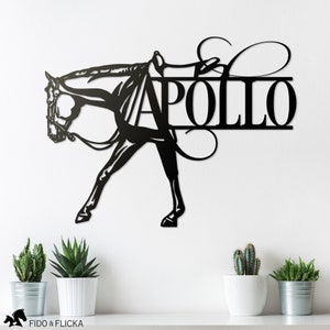 personalized western pleasure horse wall art over shelf with horse's name