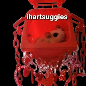 Small Exotic Sugar Glider Trash Bin Toys - The official Sugar Glider hang out! Multi Pulley System Hideout and Foraging Toy all in one!