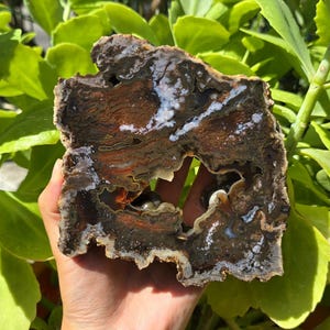 Green Botryoidal Druzy Geode and Rare Rainbow Moss Agate, Turkish Agate, Metaphysical Crystals Polished Gemstones, Mineral Specimen