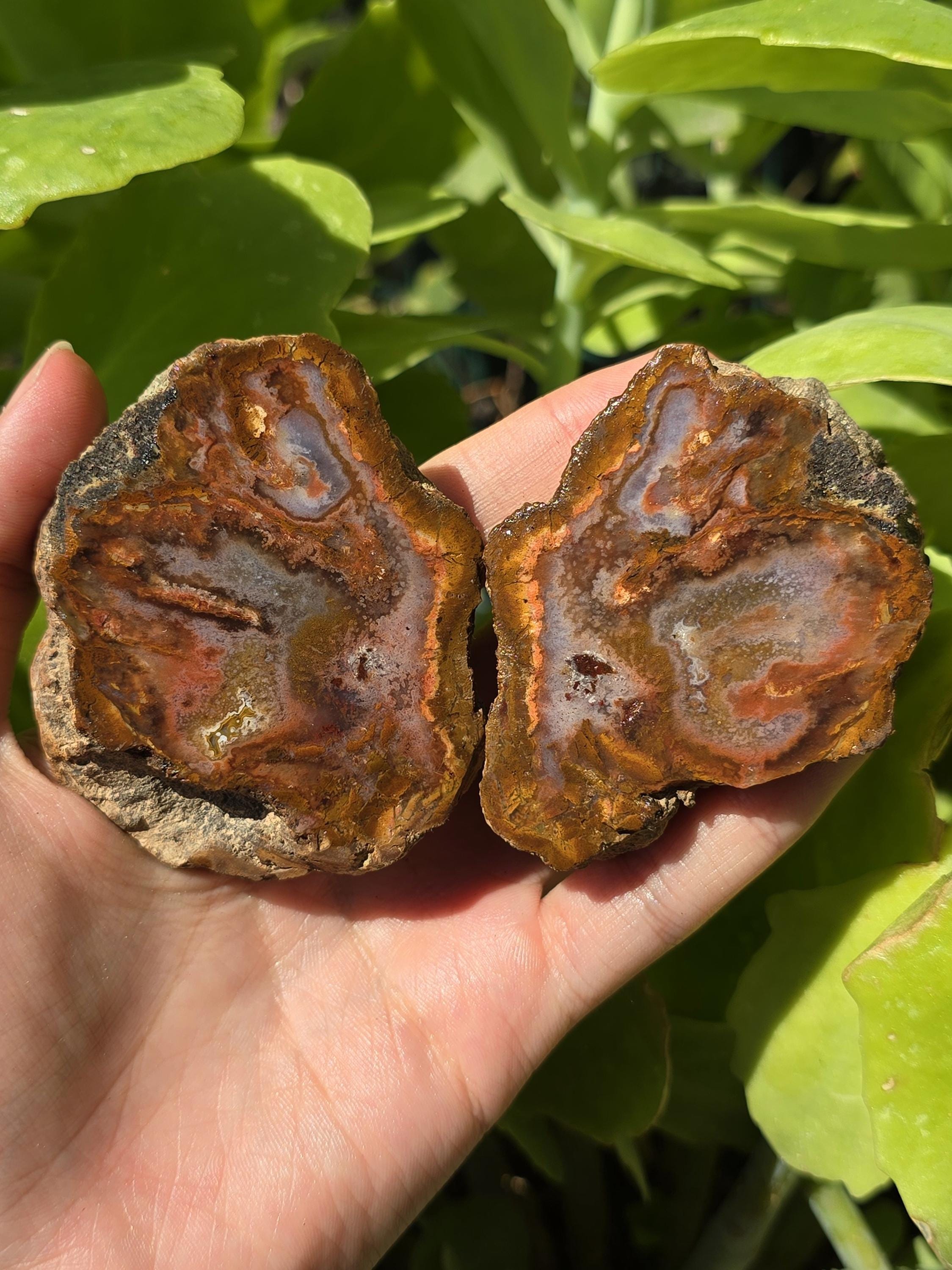 Orange Moss and Blue Banded Agate, Rocks and Mineral, Türkei Achat