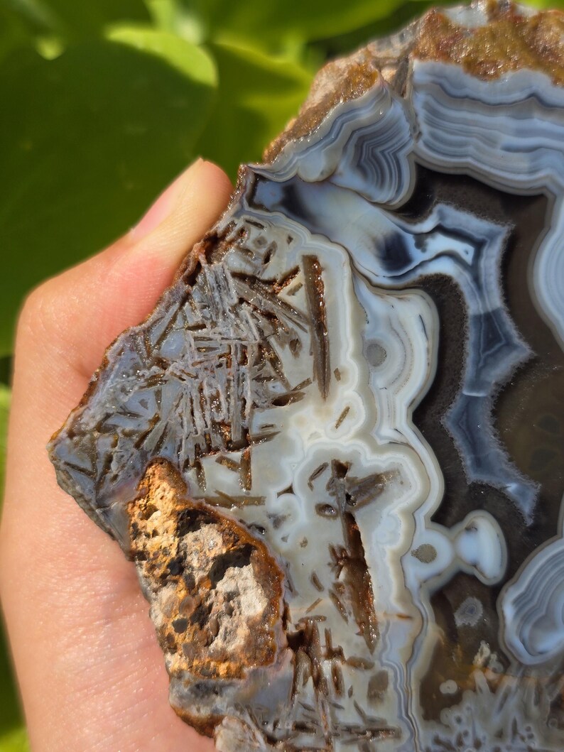 Blue Banded and Sagenite Agate, Fortification Agate, Rocks and Minerals ...