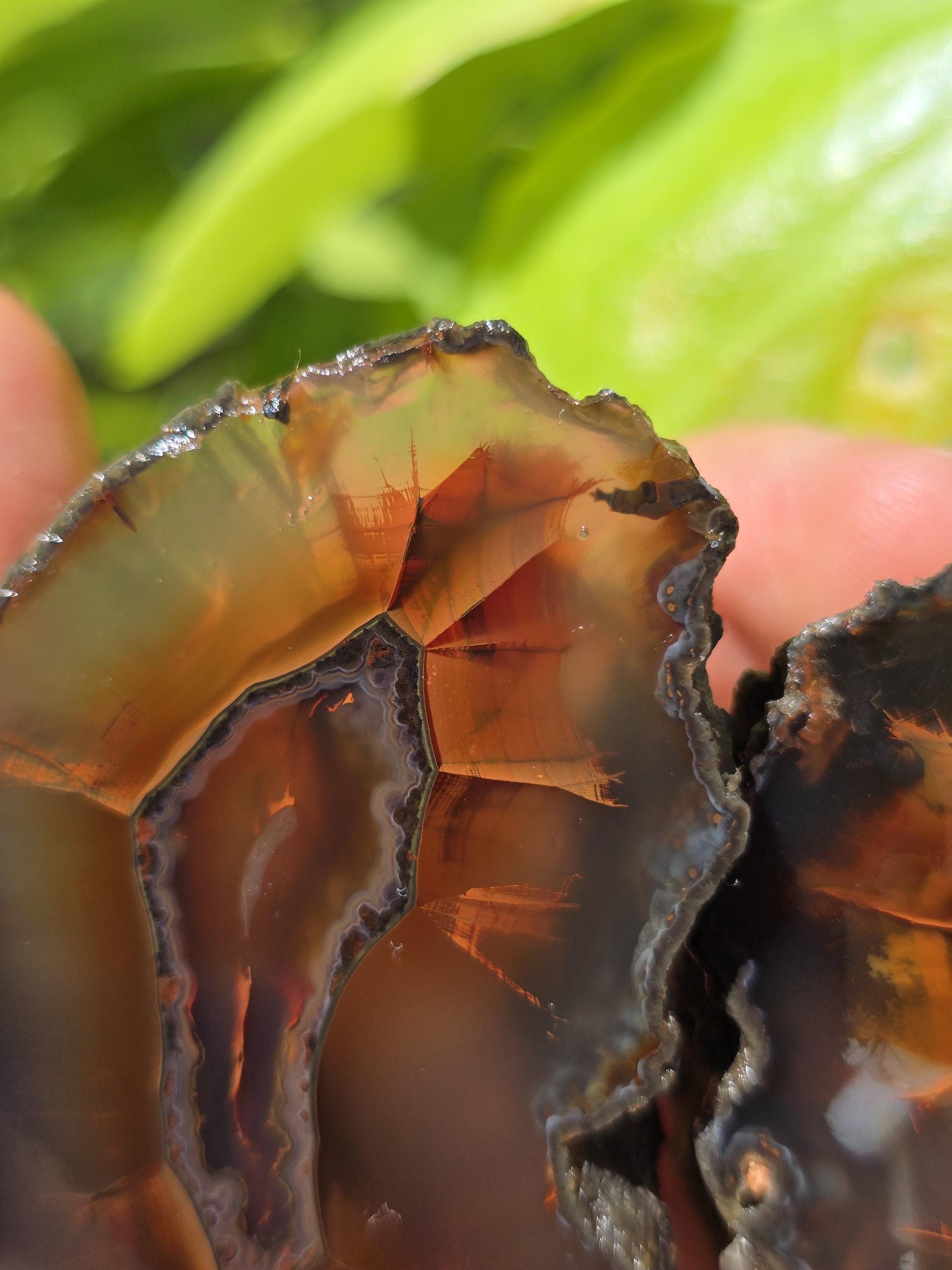 Fish View Stone, Red Banded Agate, Metaphysical Crystals, Polished ...