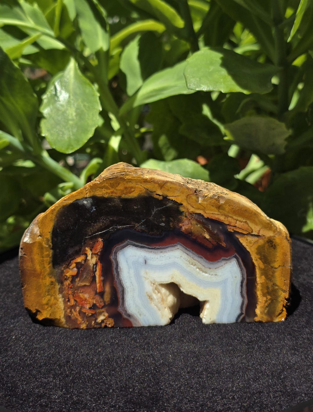 Black and Blue Banded and Mini Geode Cut Base Agate, Botryoidal Turkish ...